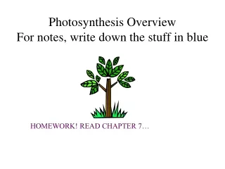 Photosynthesis Overview  For notes, write down the stuff in blue
