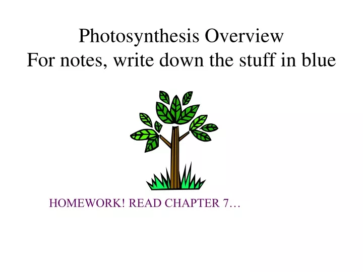 photosynthesis overview for notes write down the stuff in blue