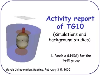 Activity report of TG10