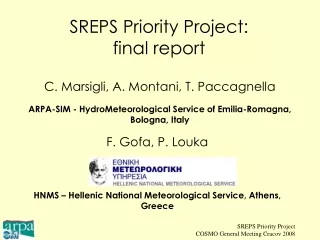 SREPS Priority Project: final report