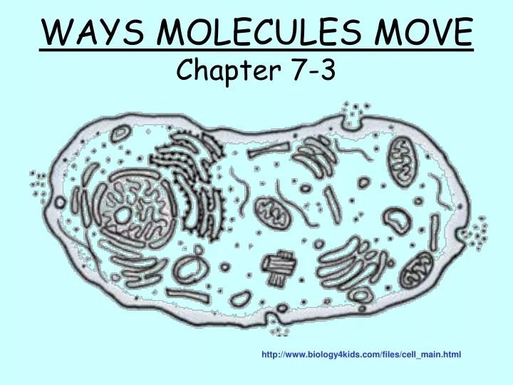 ways molecules move chapter 7 3