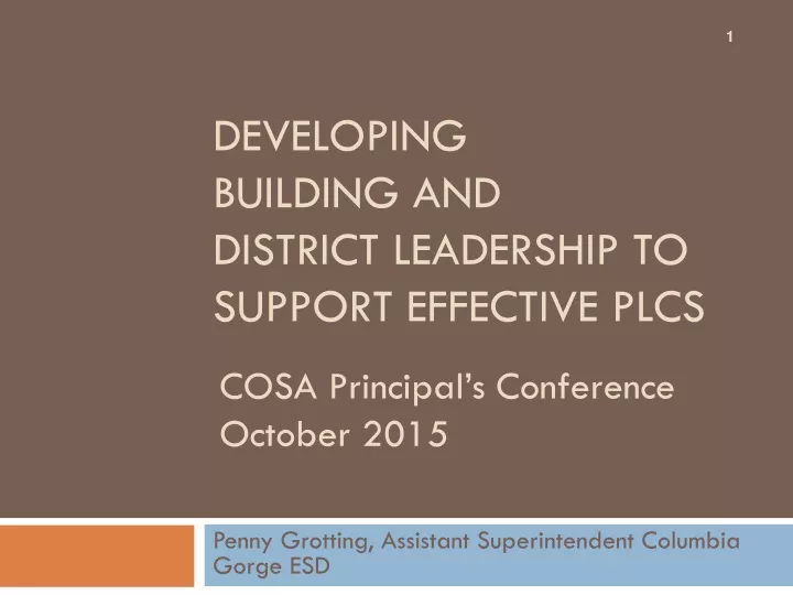 developing building and district leadership to support effective plcs