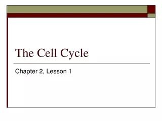 The Cell Cycle