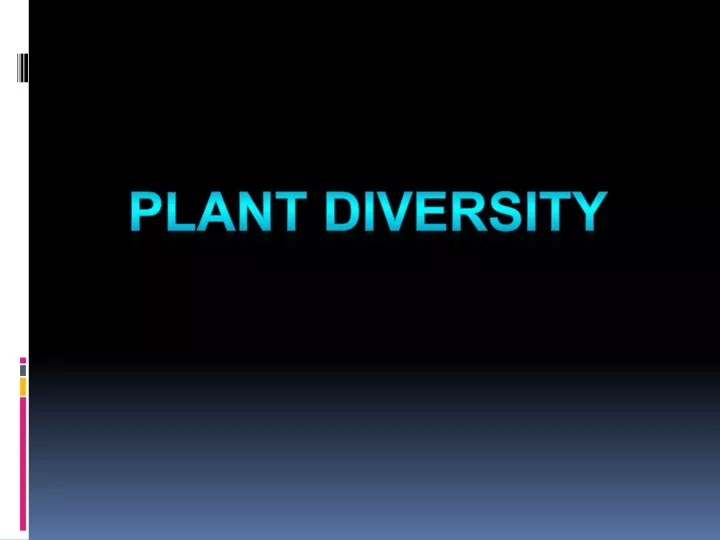 PPT - Plant Diversity PowerPoint Presentation, Free Download - ID:9695352