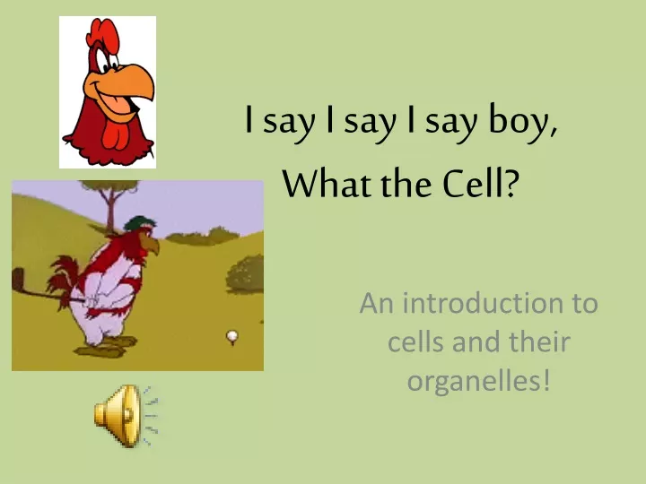 i say i say i say boy what the cell