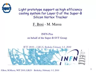 F. Bosi  - M. Massa INFN-Pisa on behalf of the Super-B SVT Group