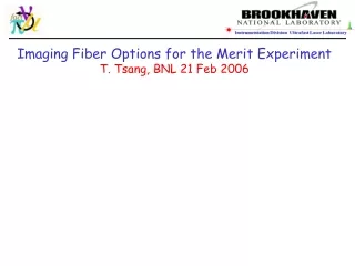 Imaging Fiber Options for the Merit Experiment T. Tsang, BNL 21 Feb 2006