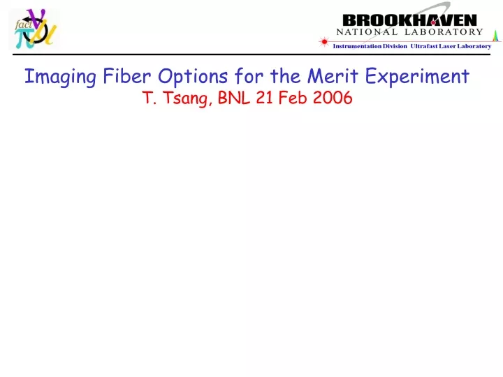 imaging fiber options for the merit experiment t tsang bnl 21 feb 2006