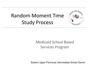 Random Moment Time  Study Process