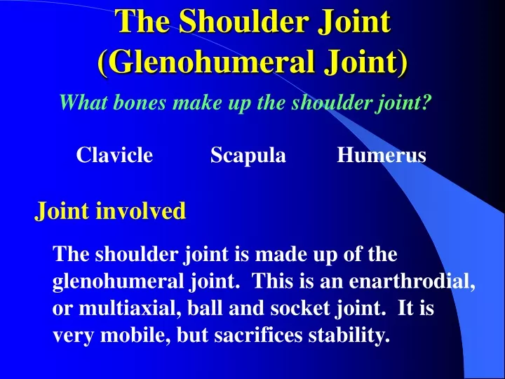 the shoulder joint glenohumeral joint