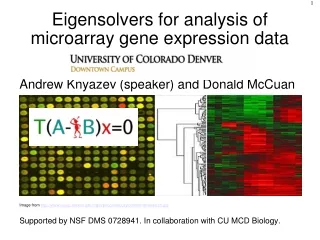 Eigensolvers for analysis of microarray gene expression data