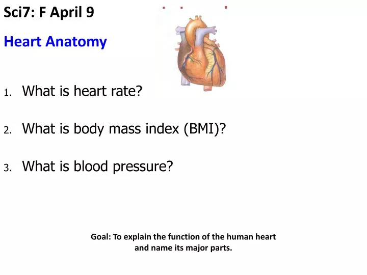 sci7 f april 9 in journal heart anatomy what