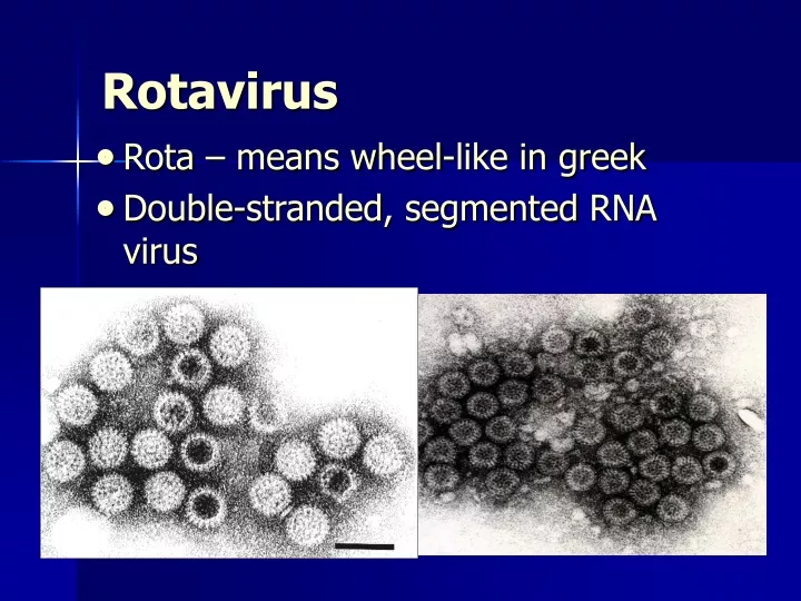 rotavirus