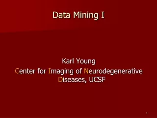 Data Mining I