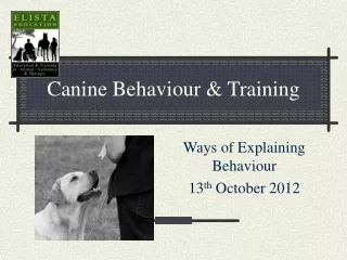 Canine Behaviour &amp; Training