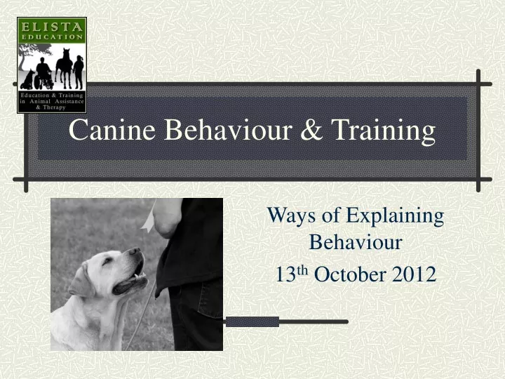 canine behaviour training