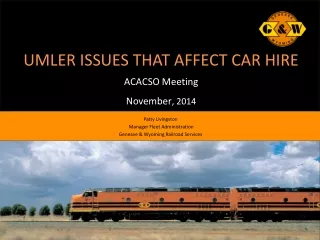 UMLER ISSUES THAT AFFECT CAR HIRE ACACSO Meeting November , 2014
