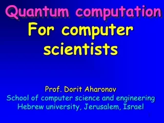 For computer scientists