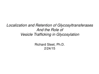 Localization and Retention of Glycosyltransferases And the Role of