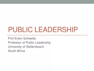 public leadership