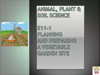 Animal, Plant &amp;  Soil Science E11-1 Planning  and Preparing  a Vegetable  Garden  Site