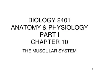 BIOLOGY 2401 ANATOMY &amp; PHYSIOLOGY PART I CHAPTER 10
