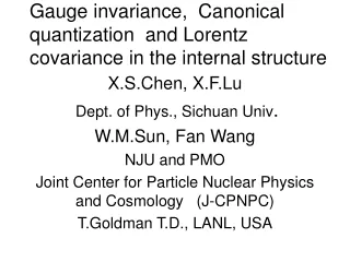 Gauge invariance,  Canonical quantization  and Lorentz covariance in the internal structure
