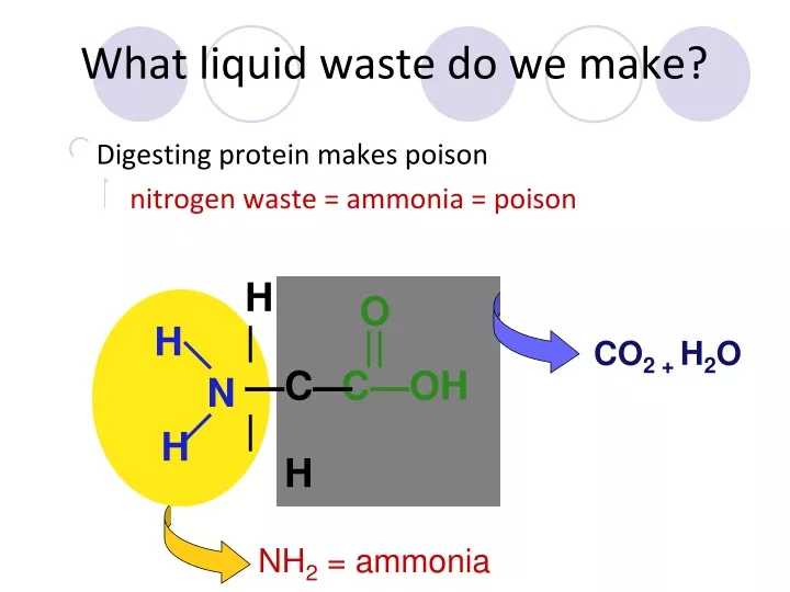 what liquid waste do we make