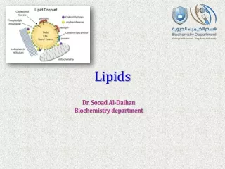 Lipid s