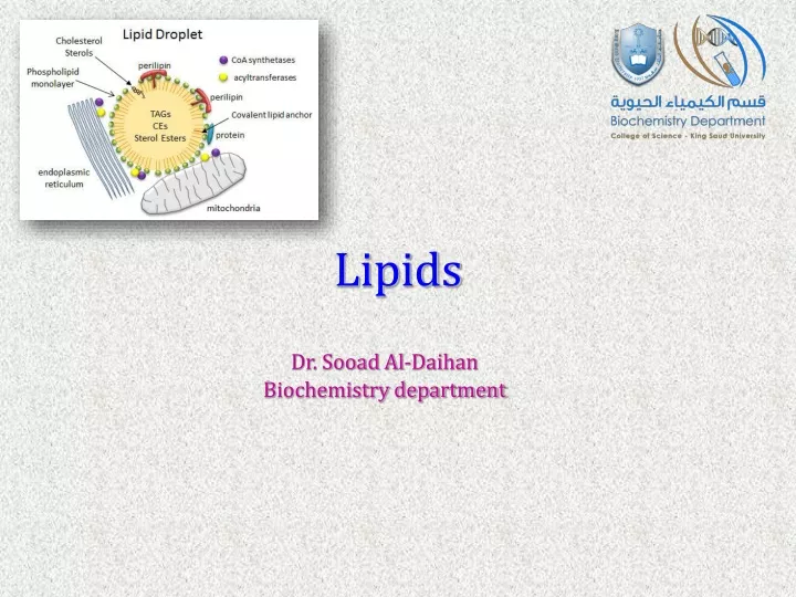 lipid s