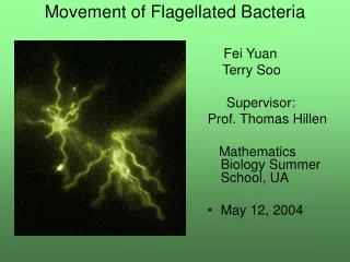 Movement of Flagellated Bacteria