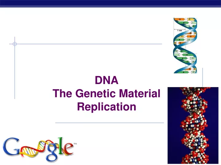 dna the genetic material replication