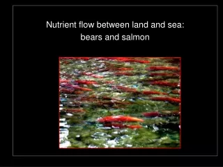 Nutrient flow between land and sea:  bears and salmon
