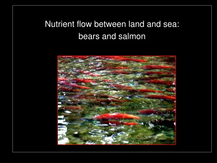 nutrient flow between land and sea bears