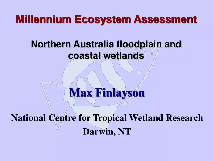 millennium ecosystem assessment northern australia floodplain and coastal wetlands