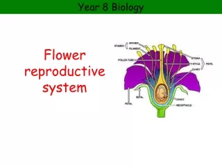 Flower reproductive system