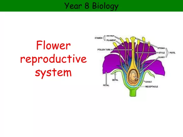flower reproductive system