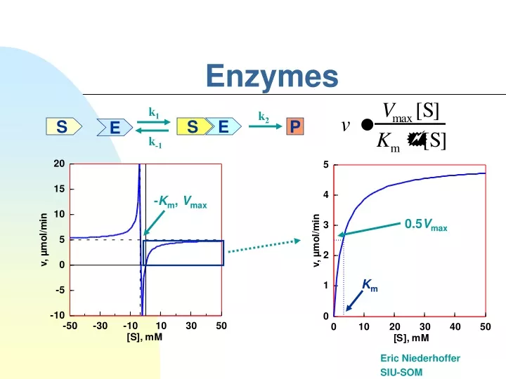 enzymes