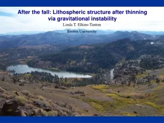 After the fall: Lithospheric structure after thinning via gravitational instability
