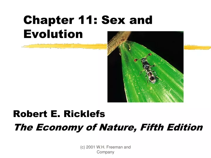 chapter 11 sex and evolution