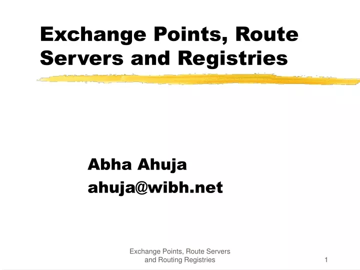 exchange points route servers and registries