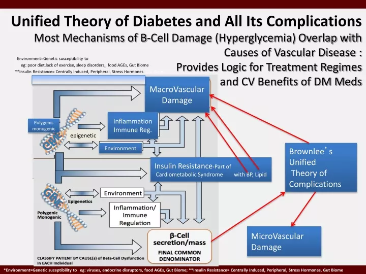 unified theory of diabetes