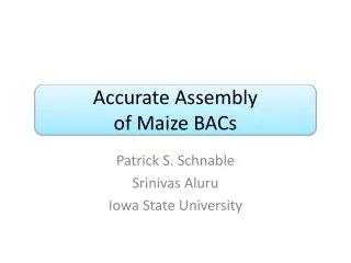 Accurate Assembly  of Maize BACs