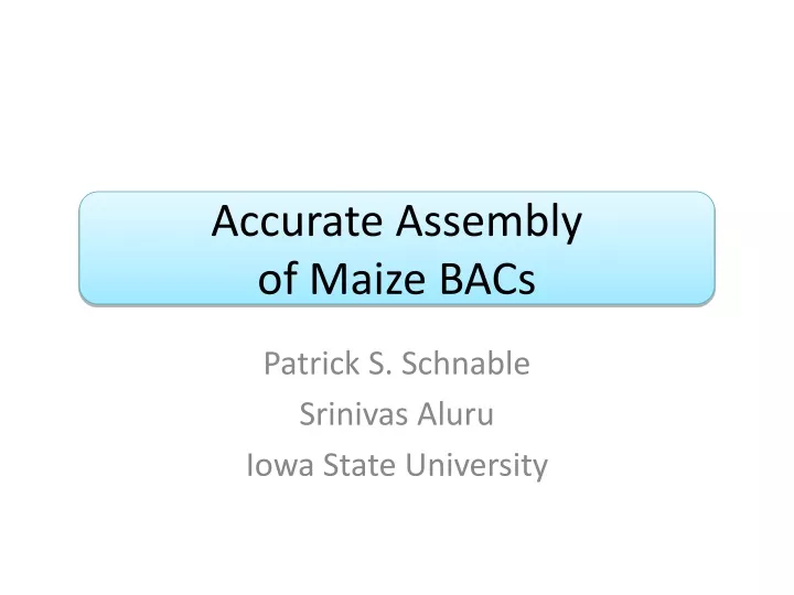 accurate assembly of maize bacs