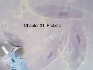 Chapter 21: Protista