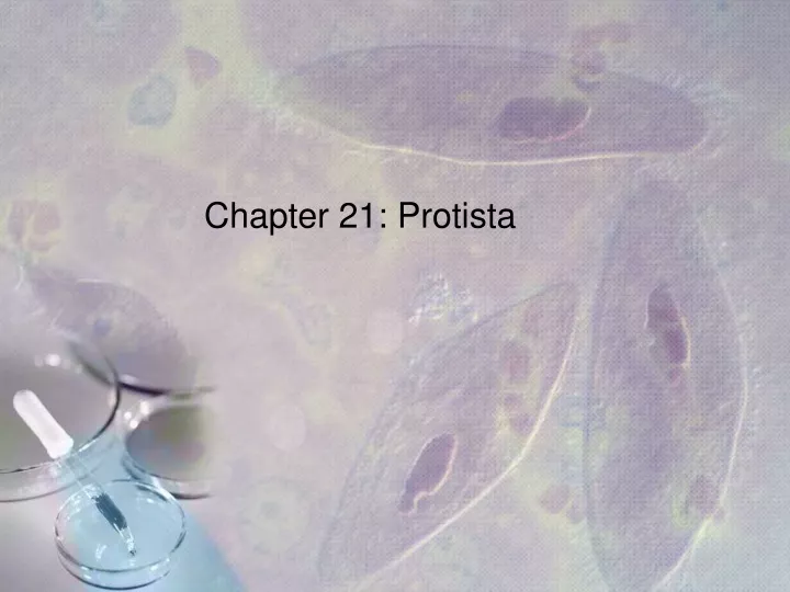 chapter 21 protista