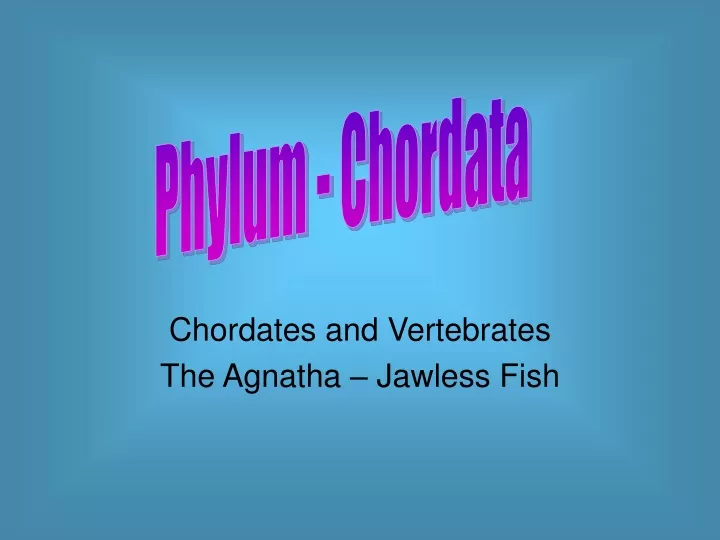 chordates and vertebrates the agnatha jawless fish