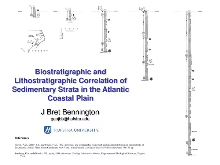 biostratigraphic and lithostratigraphic