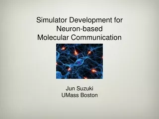Simulator Development for Neuron-based Molecular Communication