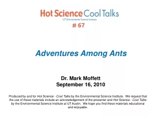 Adventures Among Ants